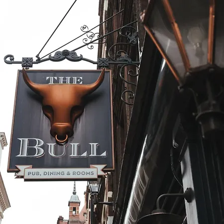 The Bull And The Hide-2